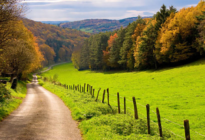 Jesenná tapeta s poľnou cestičkou podzim autumn